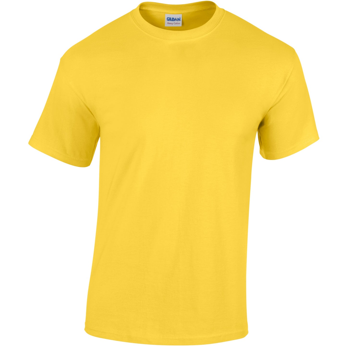 GD05B Heavy Cotton™ youth t-shirt
