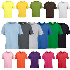 Gildan Softstyle Youth T-Shirt (unisex)